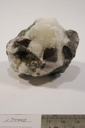 SPINEL