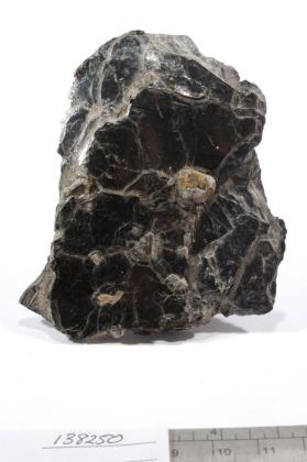 Xenotime-(Y) with Biotite