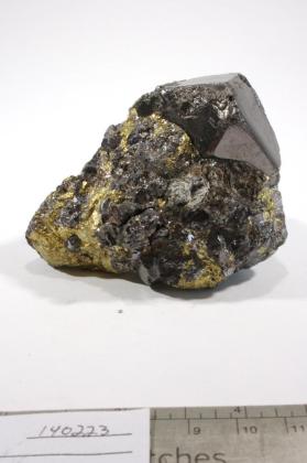 Magnetite with Chalcopyrite