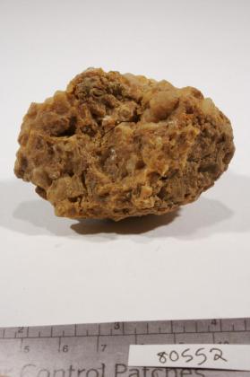 deweylite