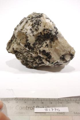 Crookesite