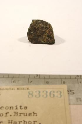 Tenorite