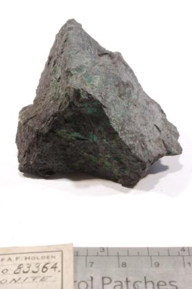 Tenorite