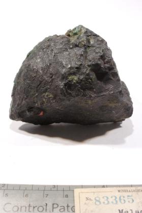 Tenorite