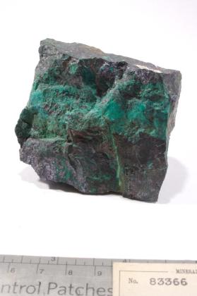 Tenorite