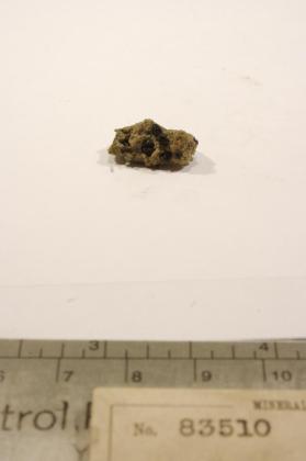 SPINEL