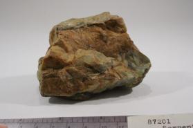 SERPENTINE