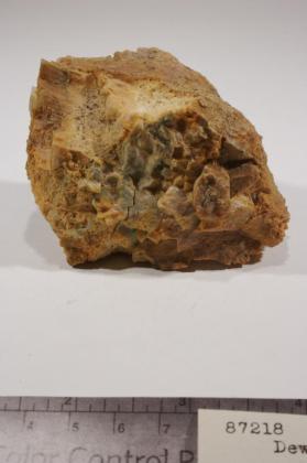 deweylite