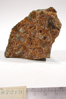 deweylite