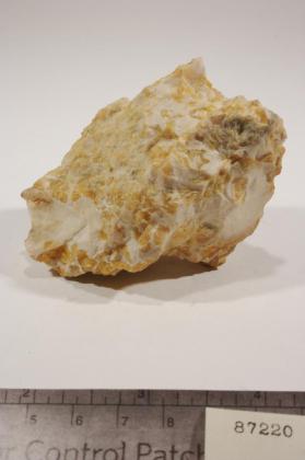 deweylite