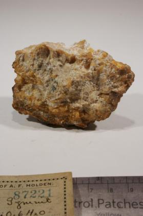 deweylite