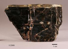 Biotite