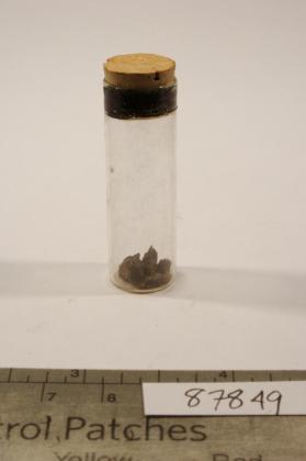 Ferrotapiolite