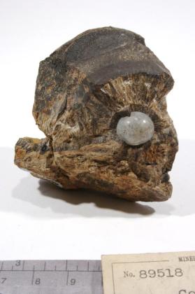 Collinsite