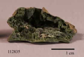 prochlorite