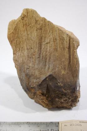 Jarosite