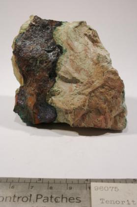 Tenorite