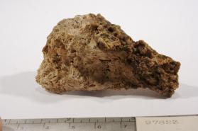 Whitlockite