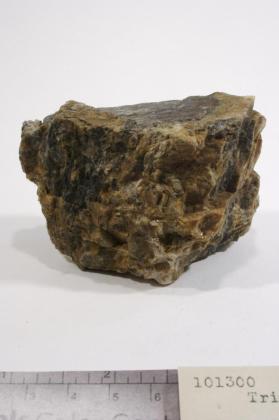 Triphylite