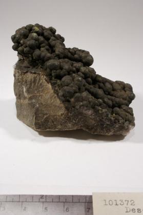 Descloizite