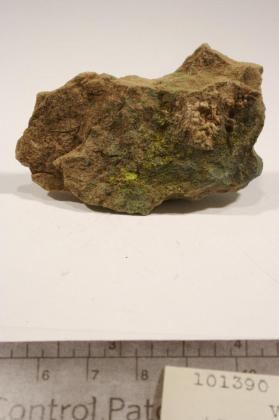 Volborthite