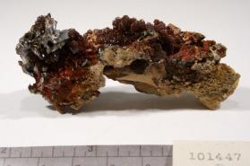 Descloizite with CALCITE and Vanadinite