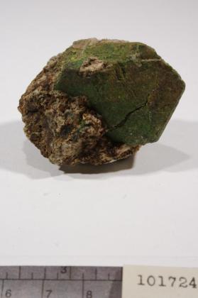 Cuprotungstite