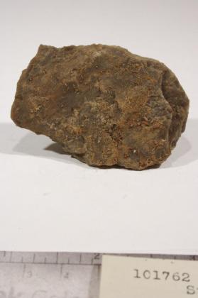 Stolzite