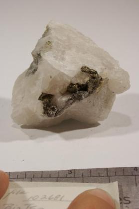 wehrlite with Pyrite