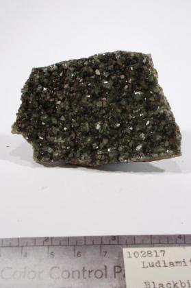 Ludlamite