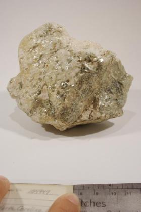 OLIGOCLASE