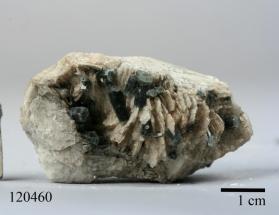 FLUORAPATITE