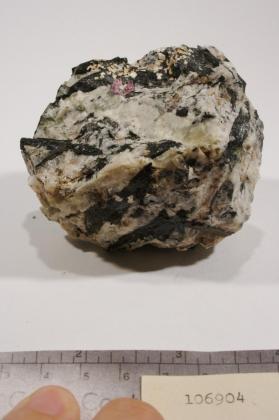 Eudialyte