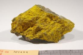 Steigerite