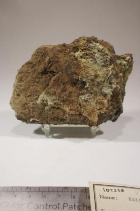 Kolovratite