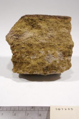 Volborthite