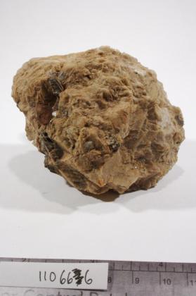 Monazite-(Ce)