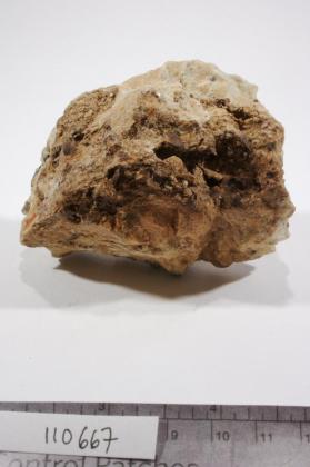 Monazite-(Ce)