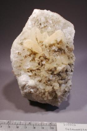 Colemanite