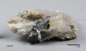 CASSITERITE