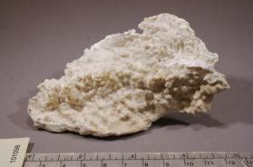 Goslarite