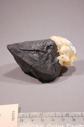 Wolframite