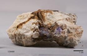 FLUORAPATITE