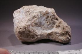 Probertite