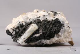 BERYL with Feldspar and Muscovite and Quartz and SCHORL