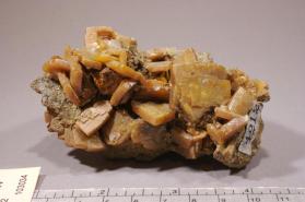 Wulfenite