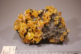 Wulfenite