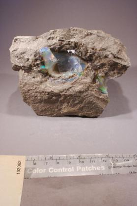 OPAL