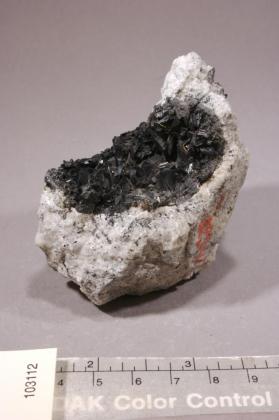 Ferrohornblende