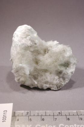 Actinolite